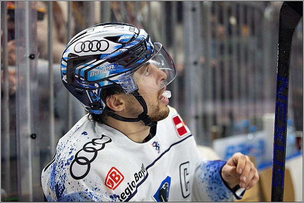 PENNY DEL; Koelner Haie- ERC Ingolstadt; Koeln, 19.12.2021